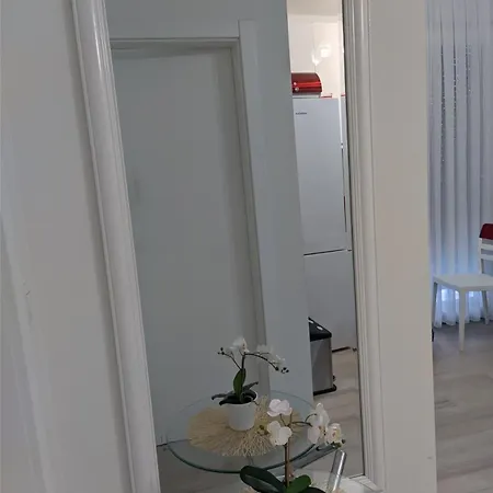 Apartment Megi *